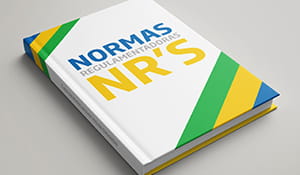 Para os equipamentos de proteção individual temos disponíveis as normas regulamentadoras (nr 's) do Ministério do Trabalho que dão dicas e prescrições valiosas para empregadores e trabalhadores | Nederman